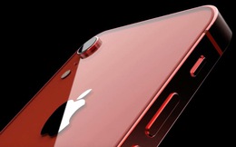 Apple sẽ có iPhone 'đặc biệt' ra mắt mùa xuân 2020